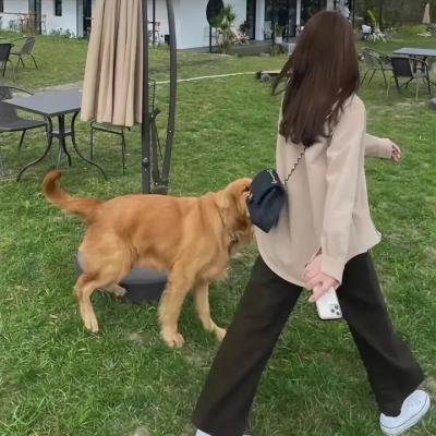 老友记第六季
